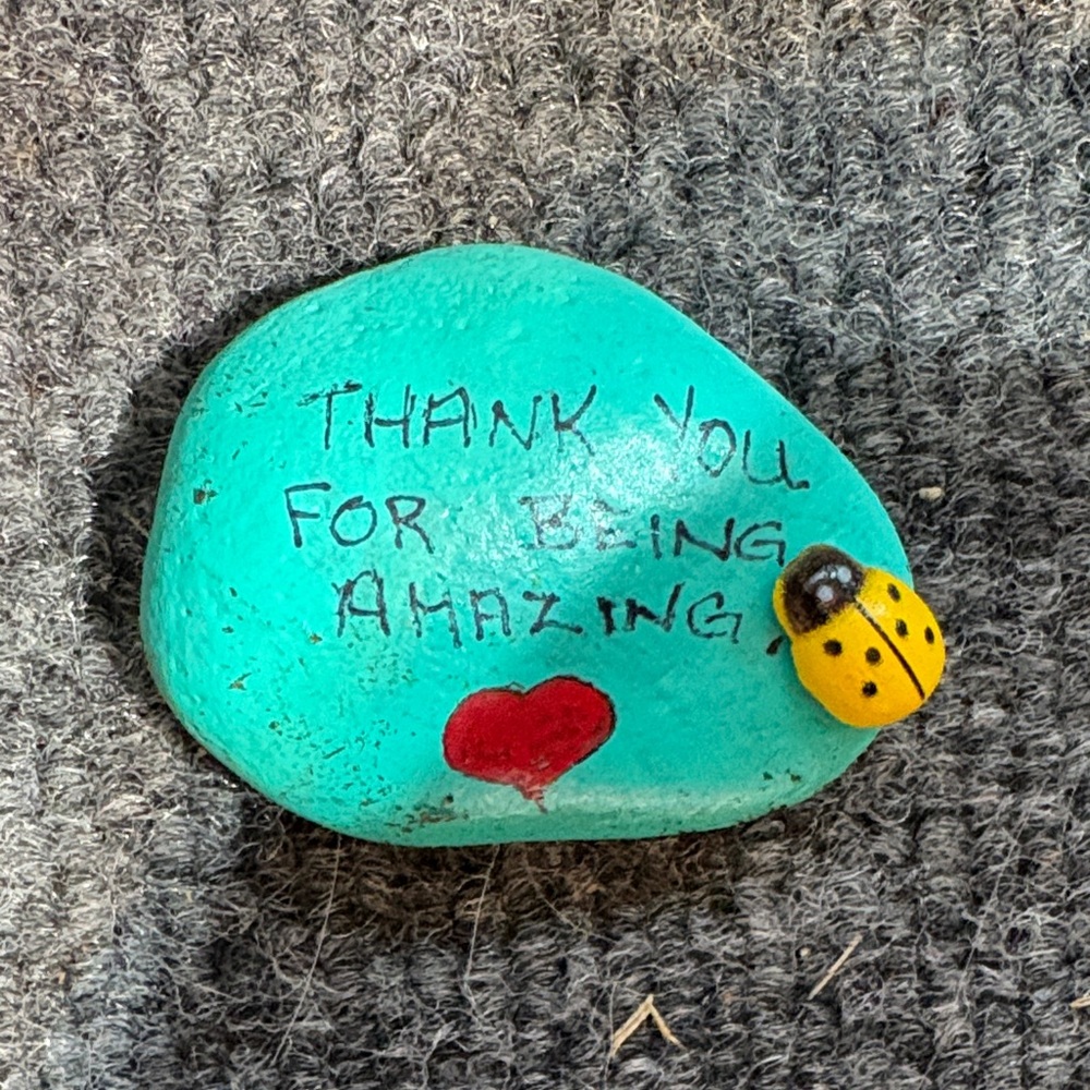 💥Decorative Painted Stone with Ladybug